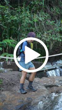 BIB:  <button type="button" onclick="openModal(27706659)" class="btn btn-primary btn-sm float-right" data-toggle="modal" data-target=".modal-high-quality">
                <i class="fa fa-download"></i> Download
                </button>